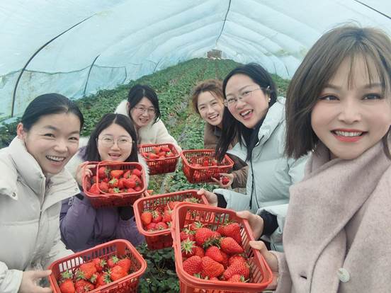 摘草莓